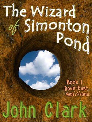 cover image of The Wizard of Simonton Pond